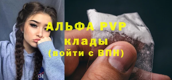 крисы Алзамай