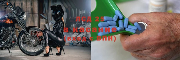 крисы Алзамай