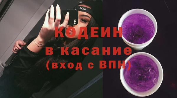 индика Алексин