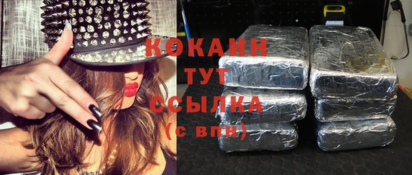молекула духа Сосновка