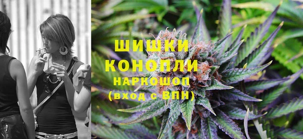 индика Алексин