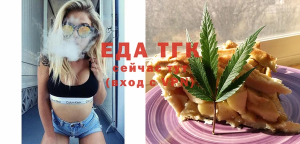 индика Алексин