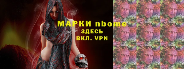 индика Алексин