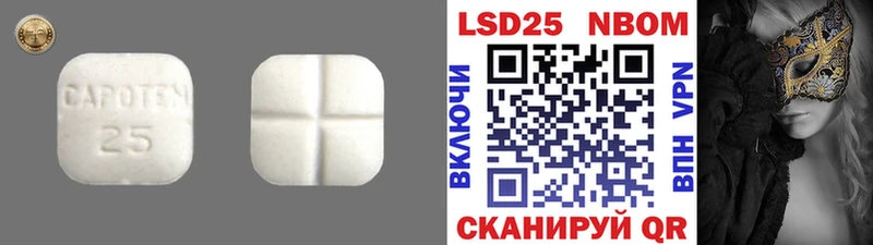 закладки  Губкин  Лсд 25 экстази ecstasy 