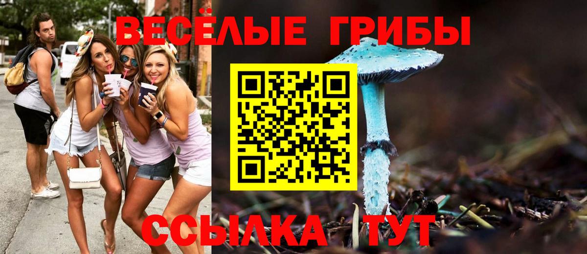 Галлюциногенные грибы GOLDEN TEACHER  Вход с VPN  Губкин  Галлюциногенные грибы Magic Shrooms 